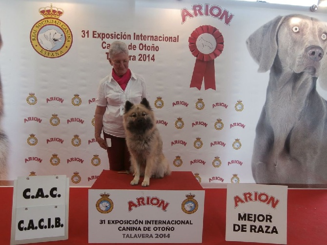 du val de l'oeuille - HERMINE termine avec Brio son Championnat d'Espagne